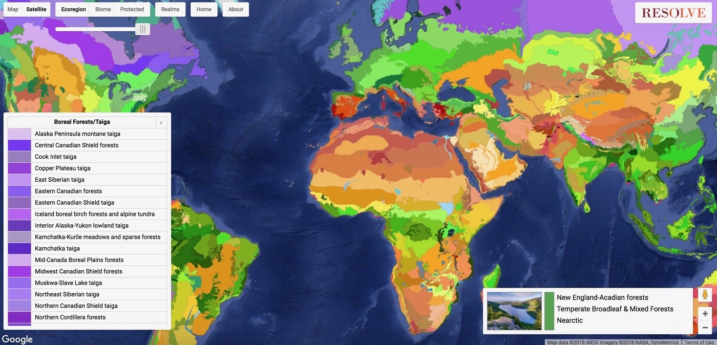 Ecoregions 2017 visualization