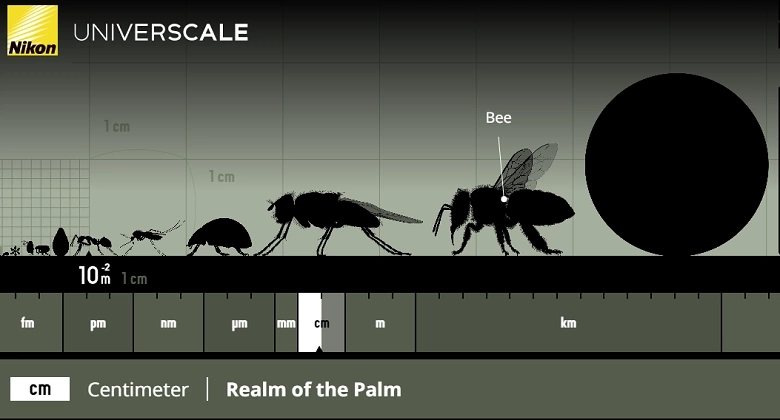 Nikon's scale interactive infographics